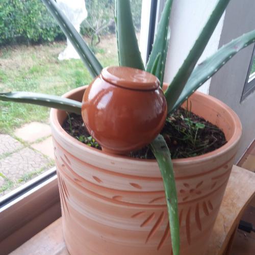 Jarres d'irrigation Oylas 