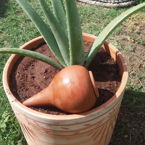 Jarres d'irrigation oylas